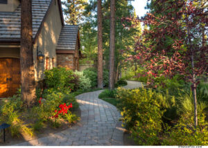 A brick pathway outside of a stone home that weaves through pine trees, flowers, and shrubs